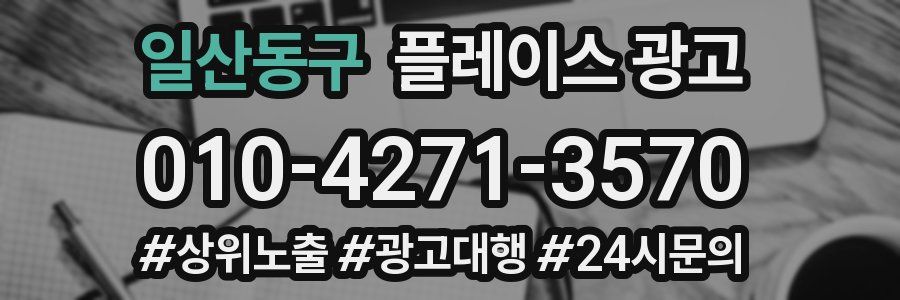 일산동구 플레이스 광고
