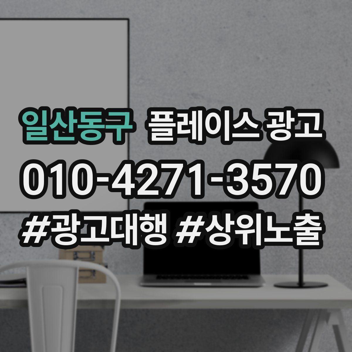 일산동구 플레이스 광고