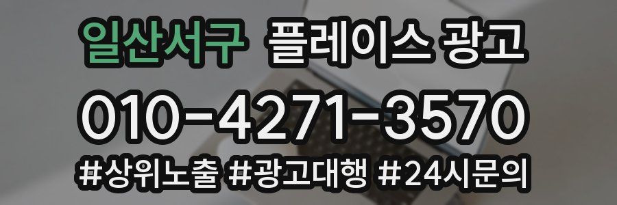 일산서구 플레이스 광고