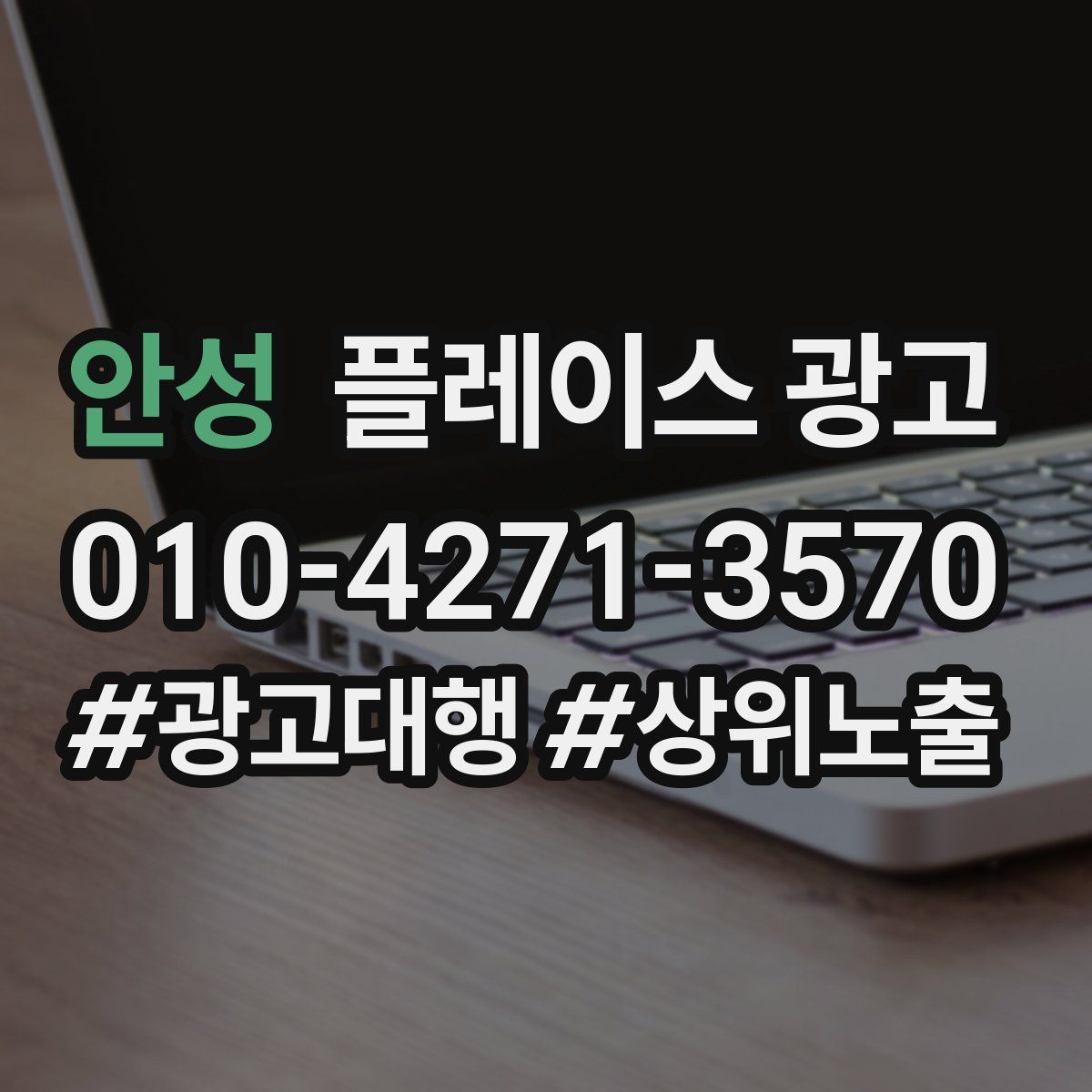안성 플레이스 광고