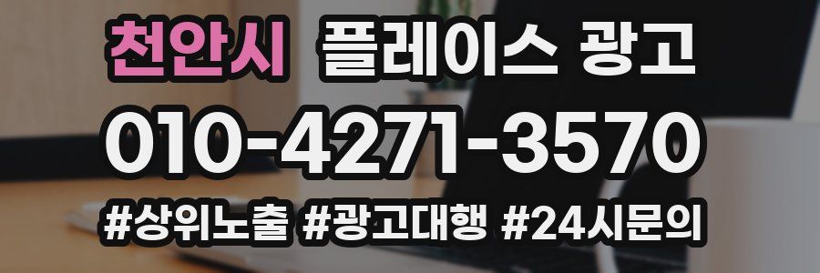 천안시 플레이스 광고