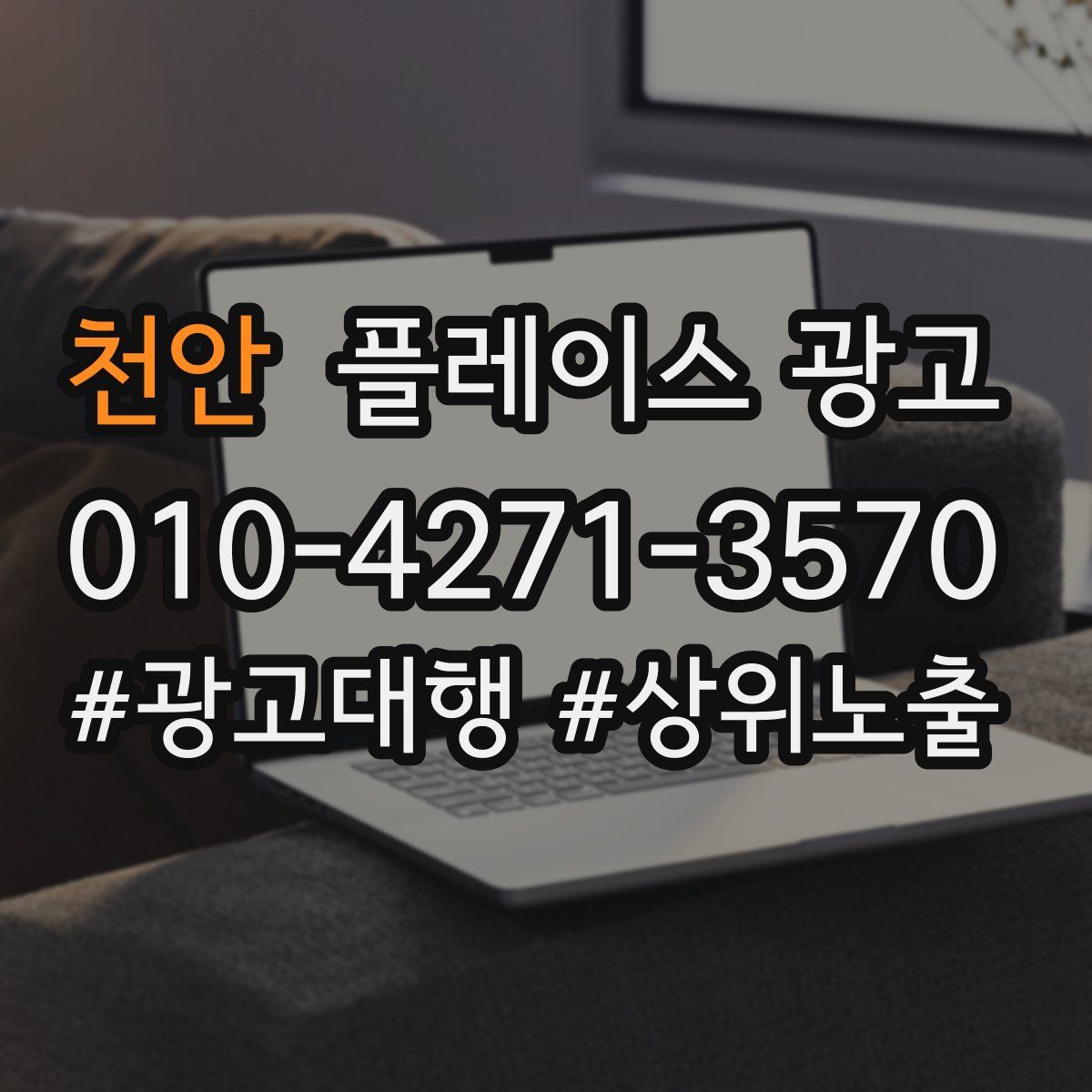 천안 플레이스 광고