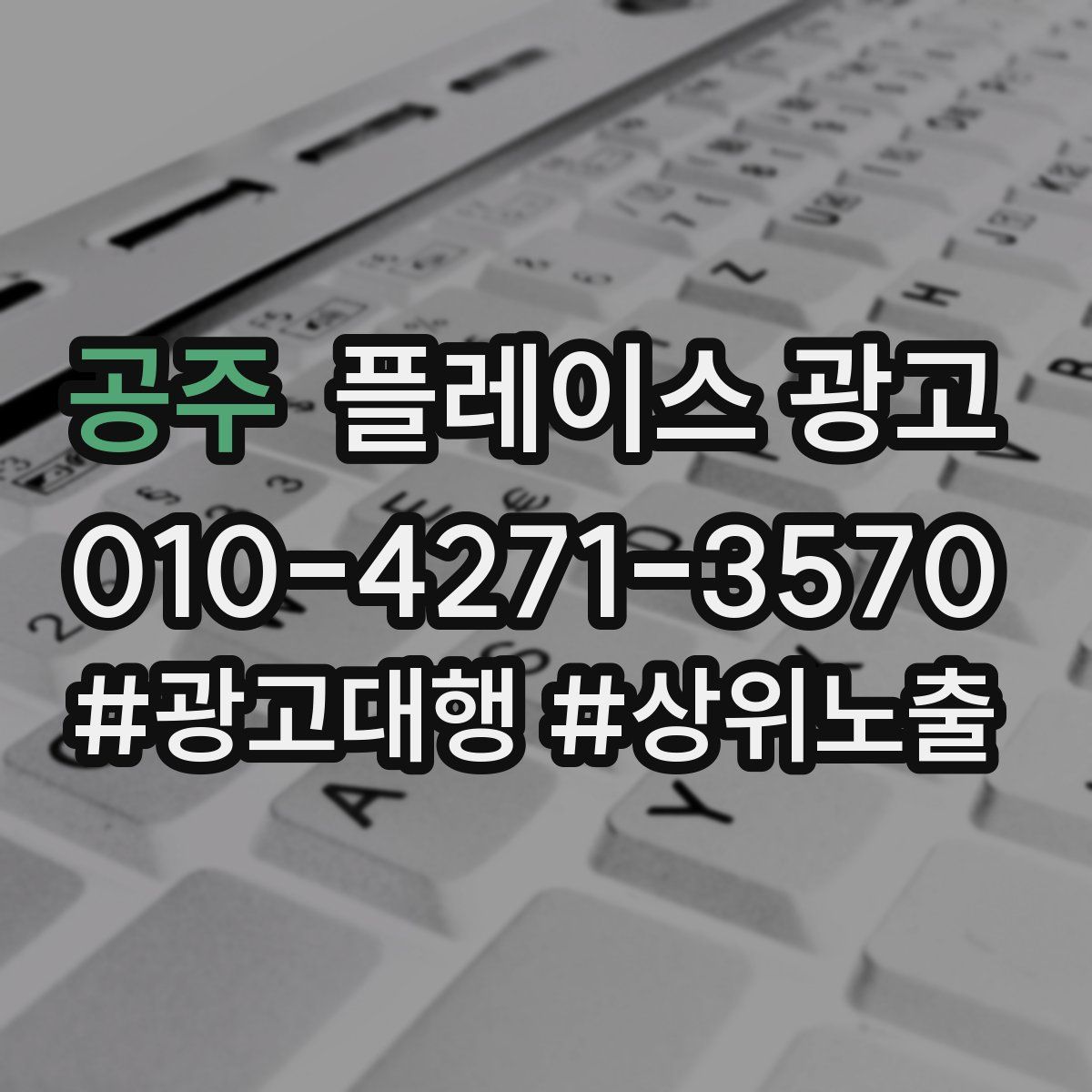 공주 플레이스 광고