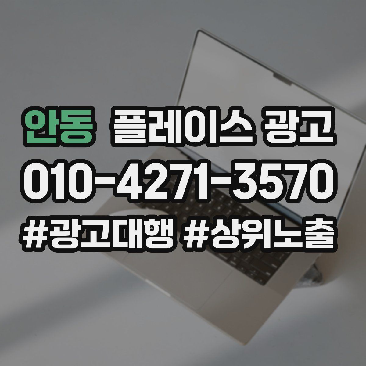 안동 플레이스 광고