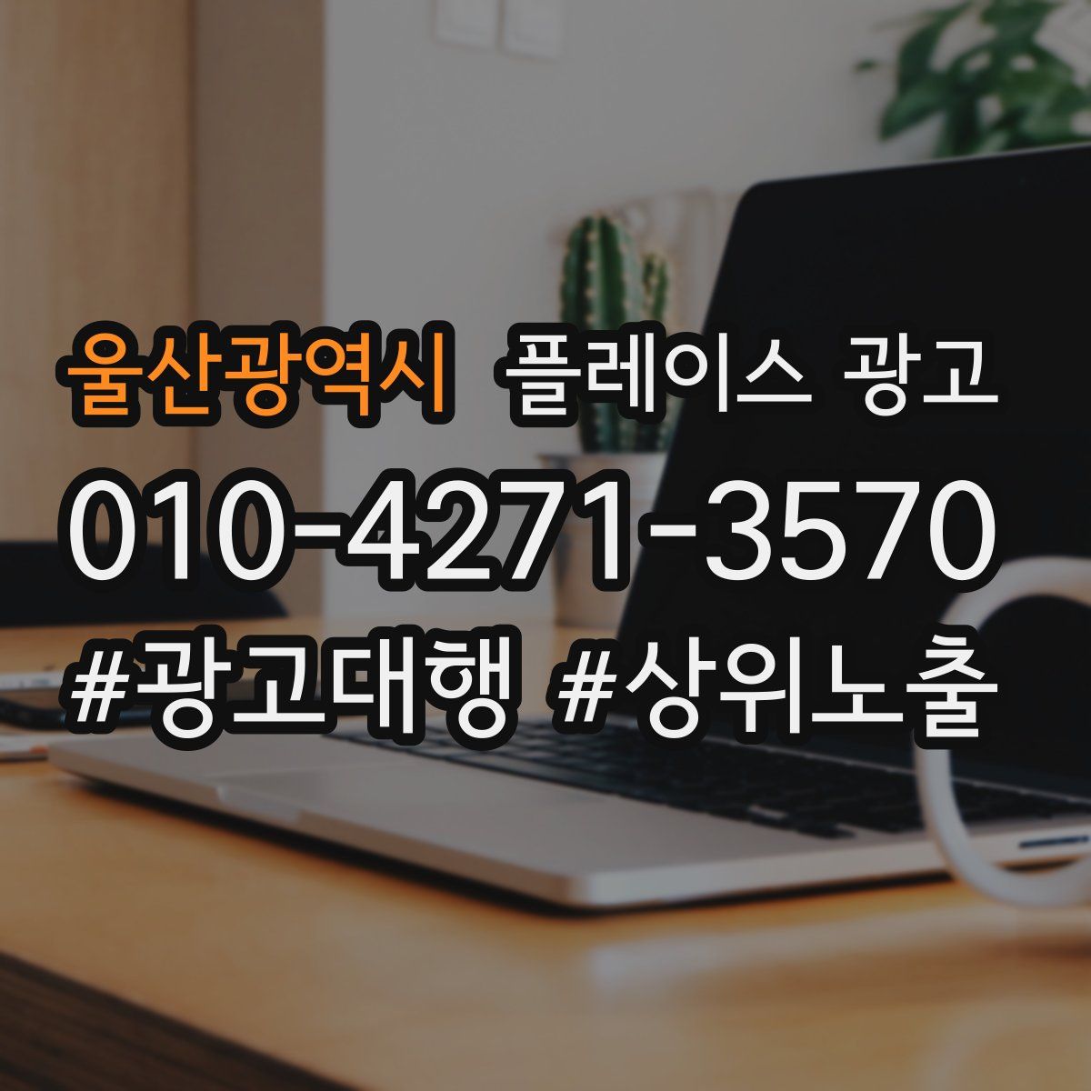 울산광역시 플레이스 광고
