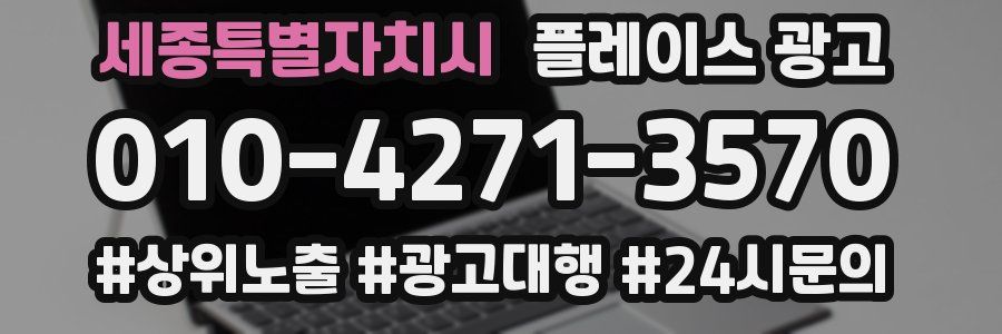 세종특별자치시 플레이스 광고