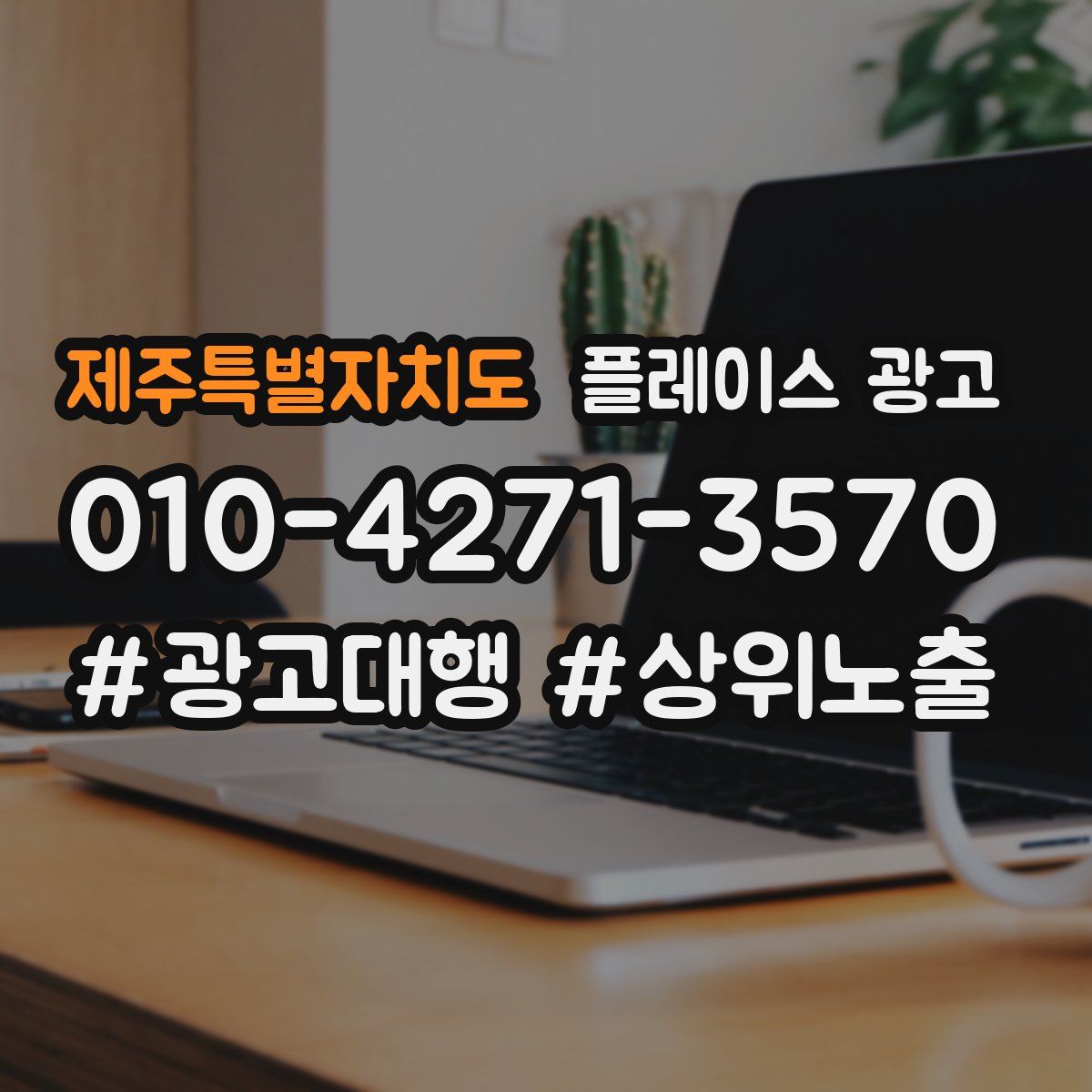 제주특별자치도 플레이스 광고