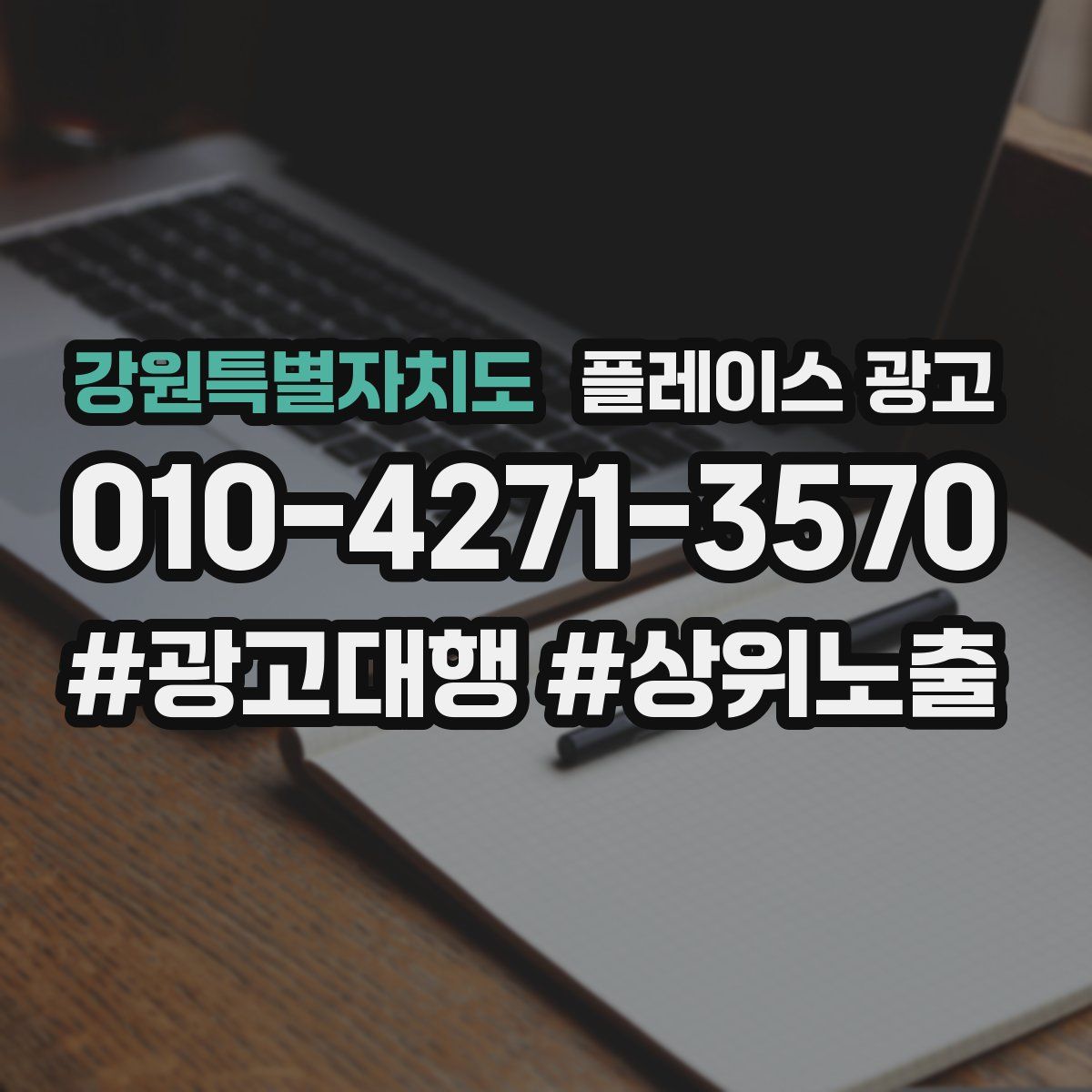 강원특별자치도 플레이스 광고