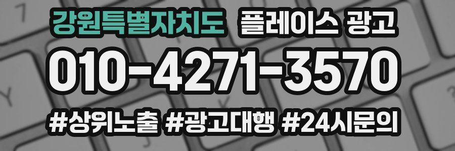 강원특별자치도 플레이스 광고