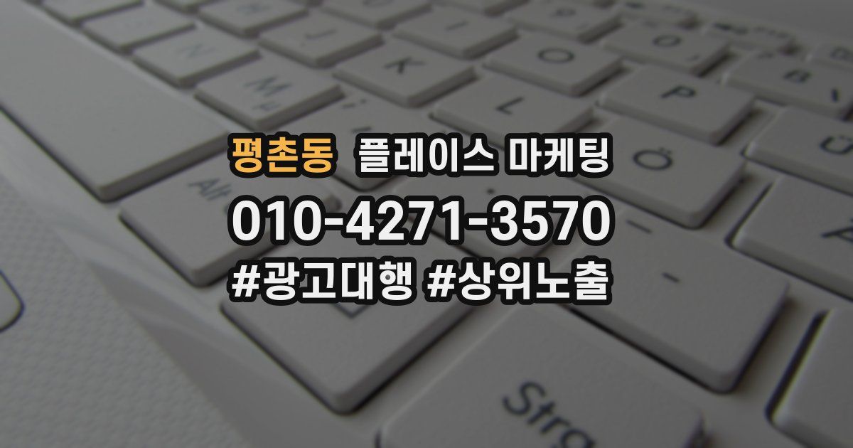 평촌동 플레이스 마케팅