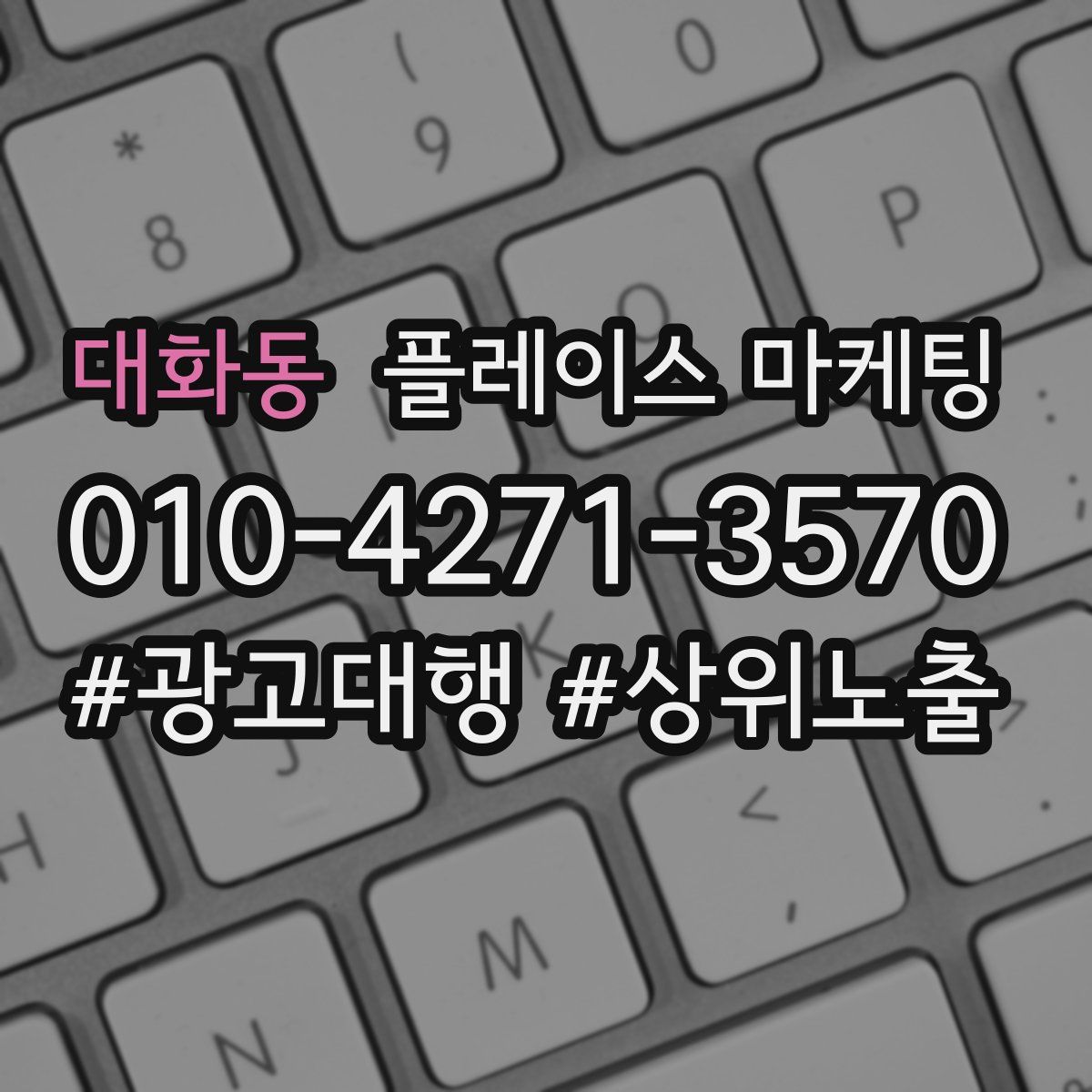 대화동 플레이스 마케팅