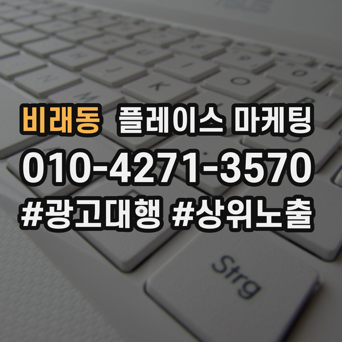 비래동 플레이스 마케팅