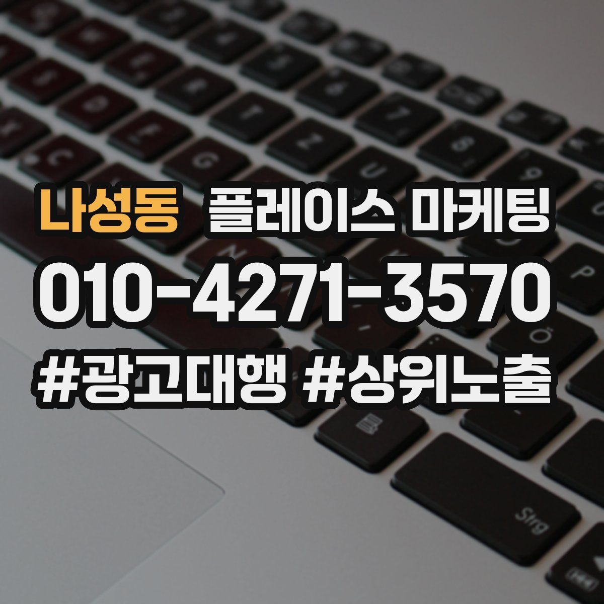나성동 플레이스 마케팅
