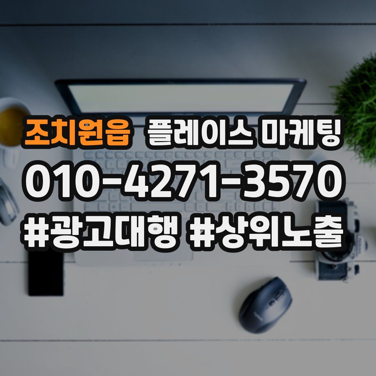 조치원읍 플레이스 마케팅