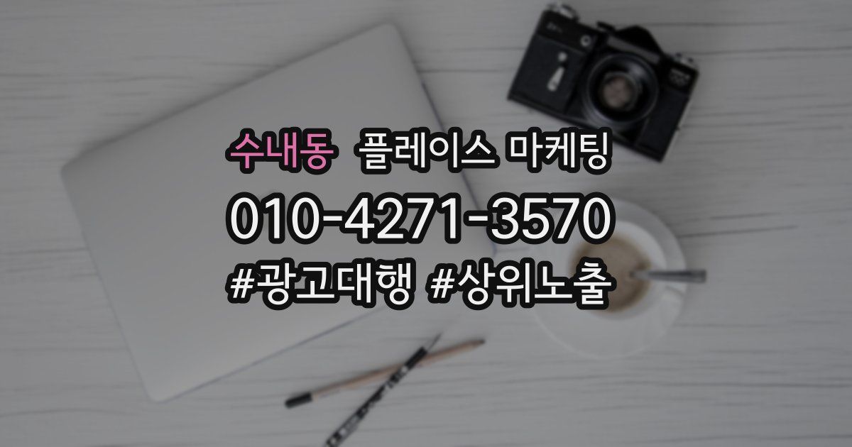 수내동 플레이스 마케팅