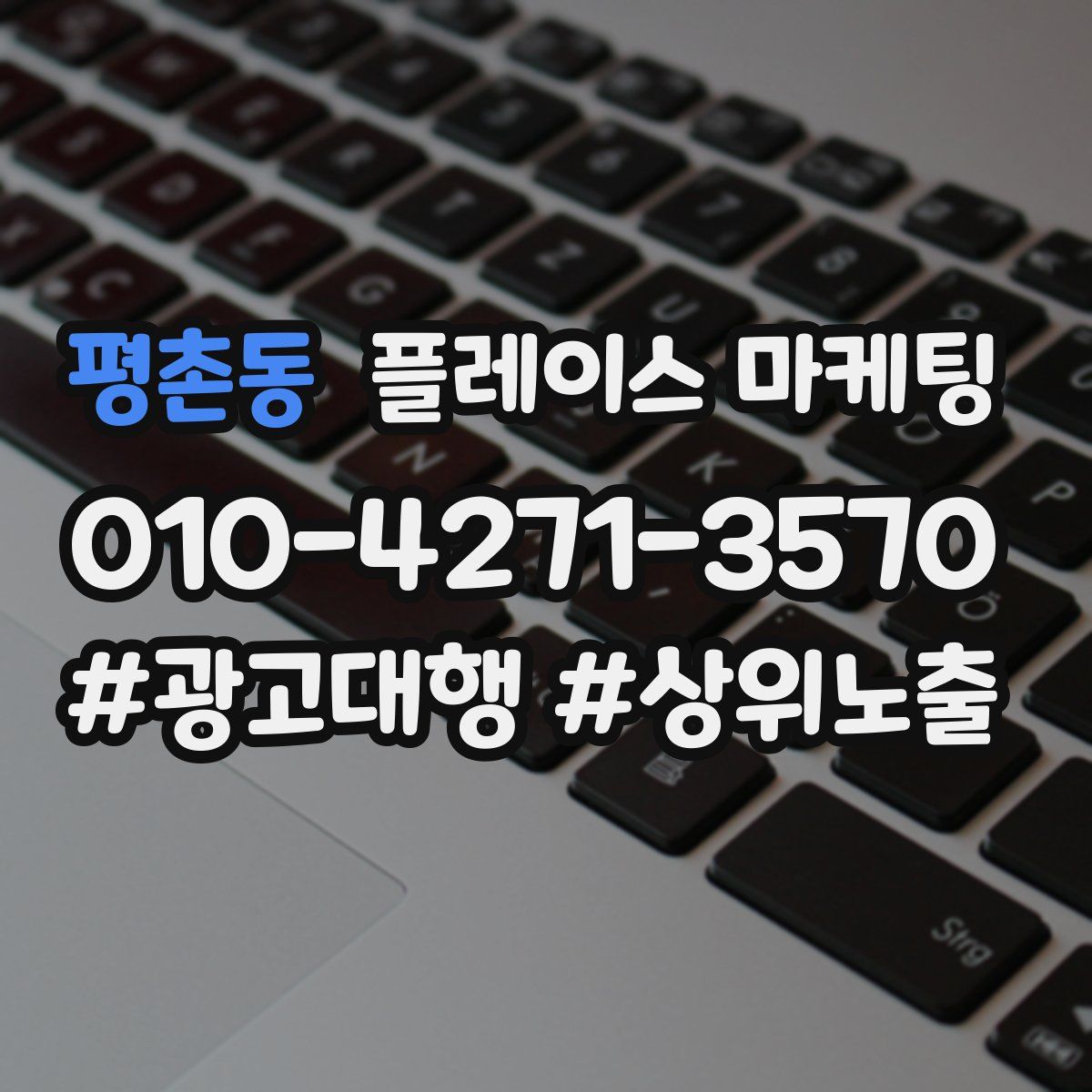 평촌동 플레이스 마케팅