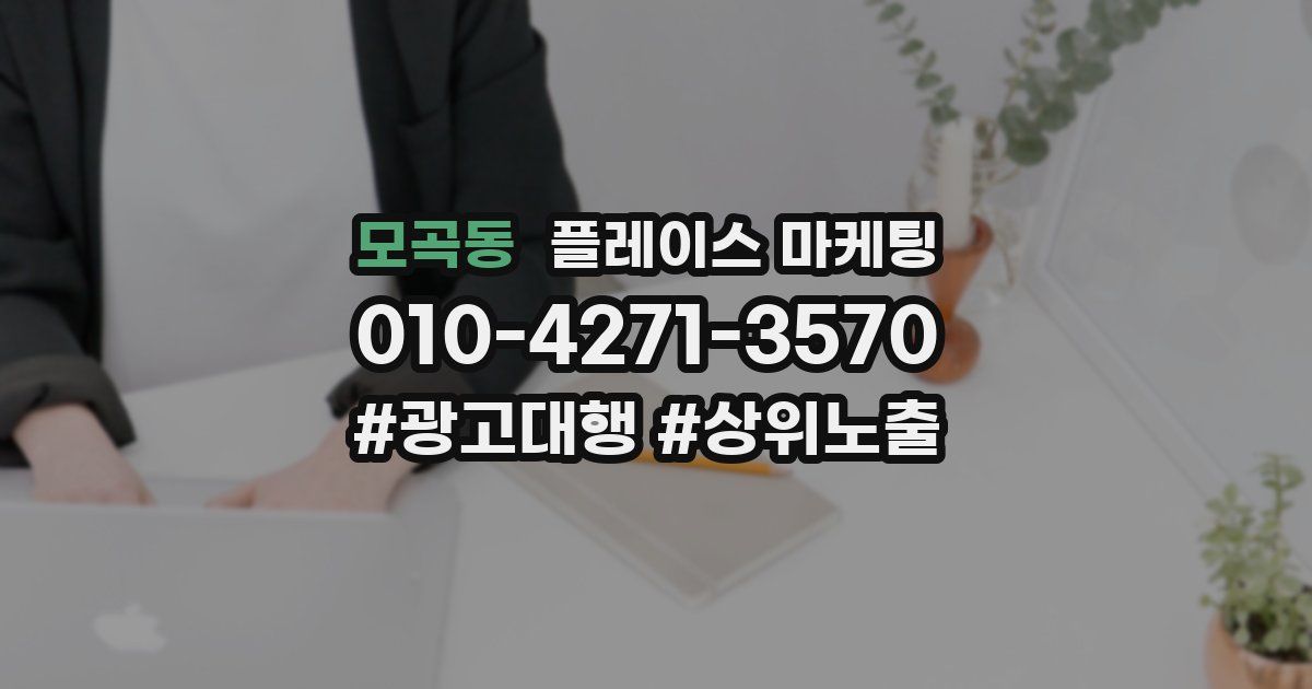 모곡동 플레이스 마케팅