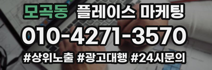 모곡동 플레이스 마케팅