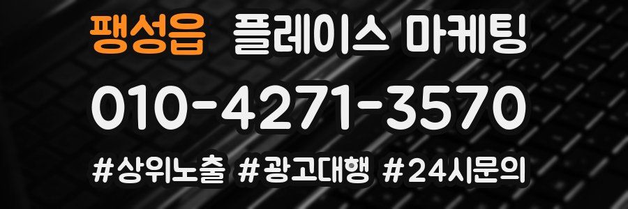 팽성읍 플레이스 마케팅