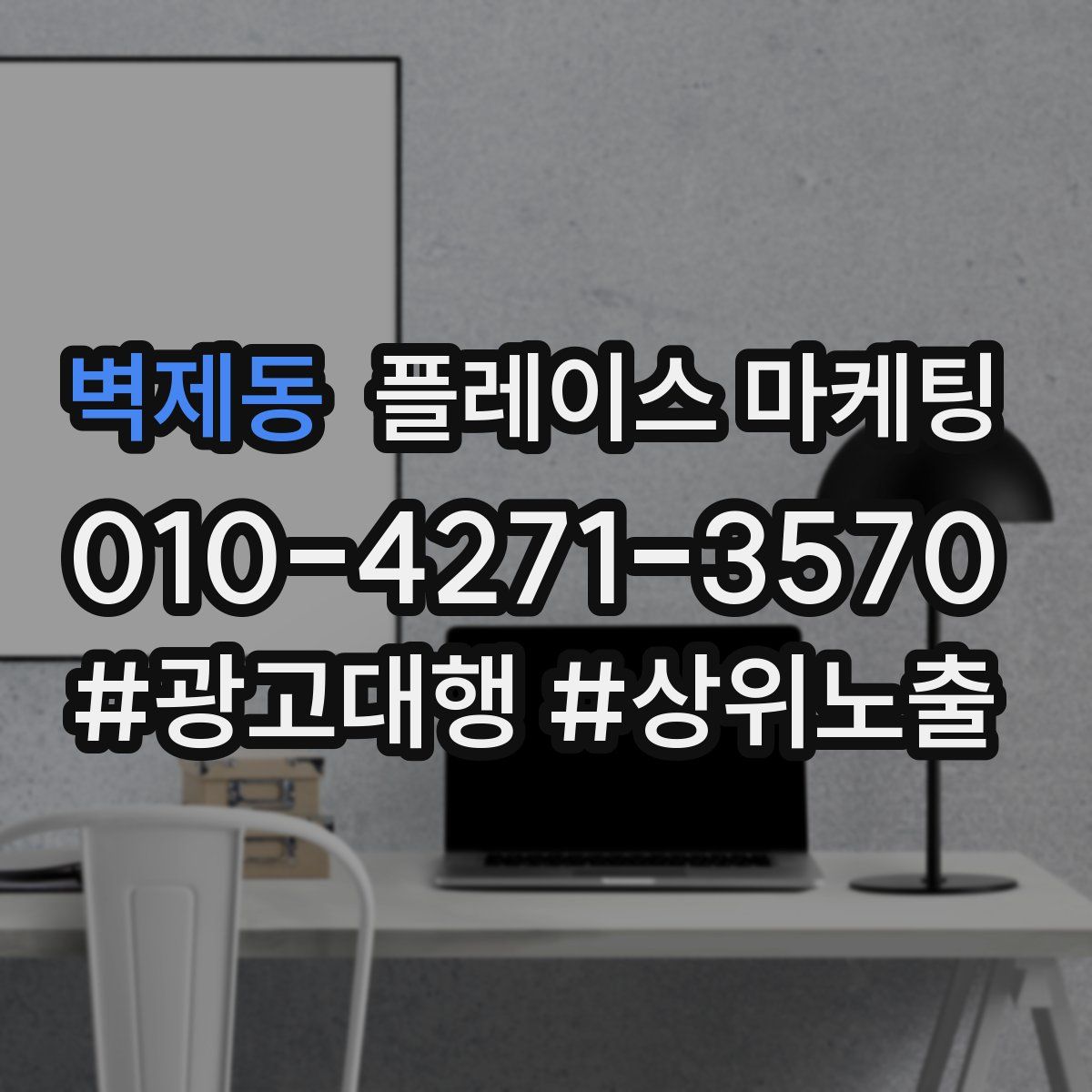 벽제동 플레이스 마케팅