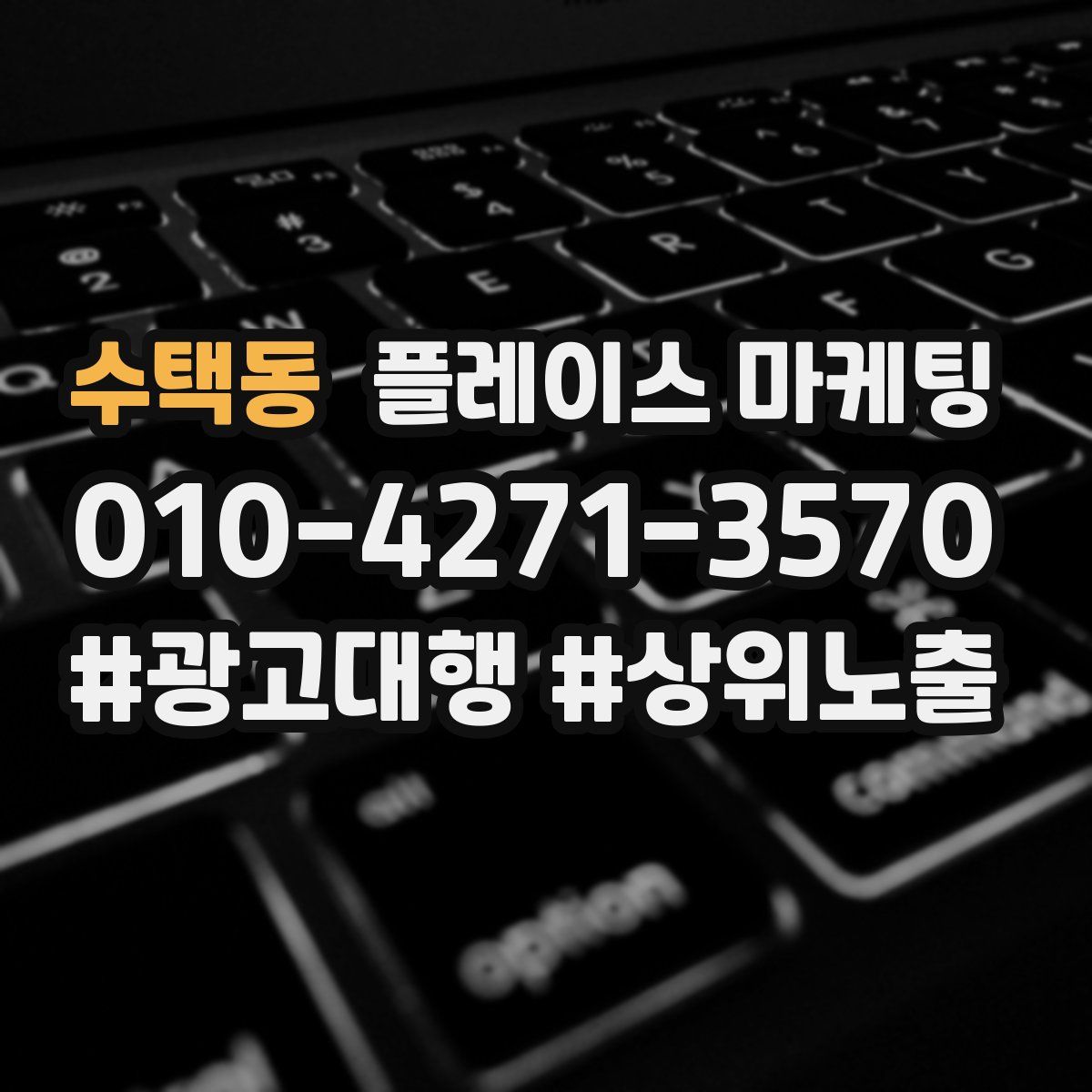 수택동 플레이스 마케팅
