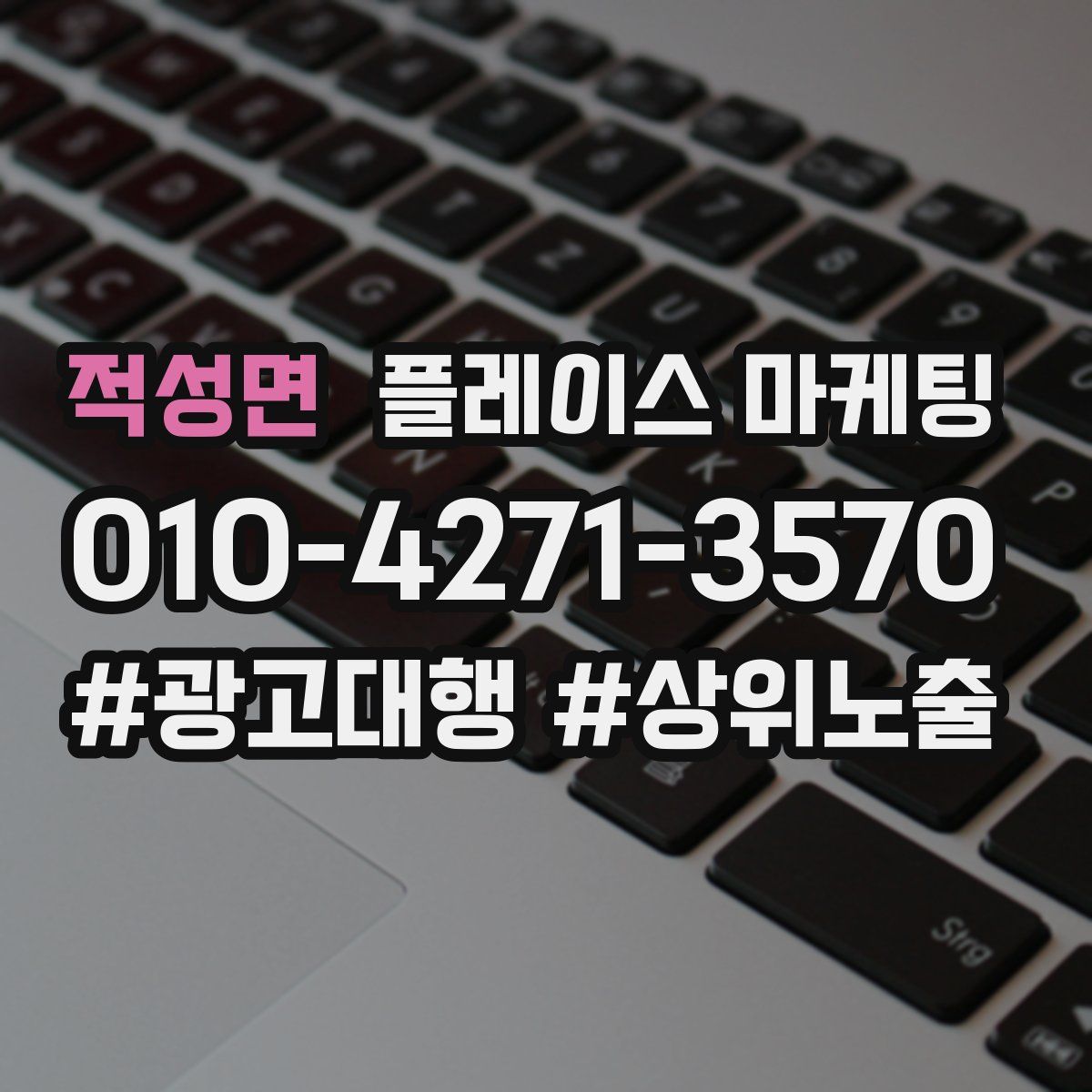 적성면 플레이스 마케팅