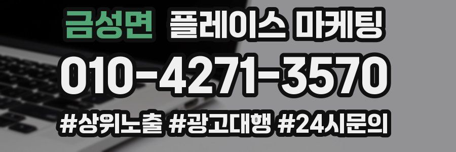 금성면 플레이스 마케팅
