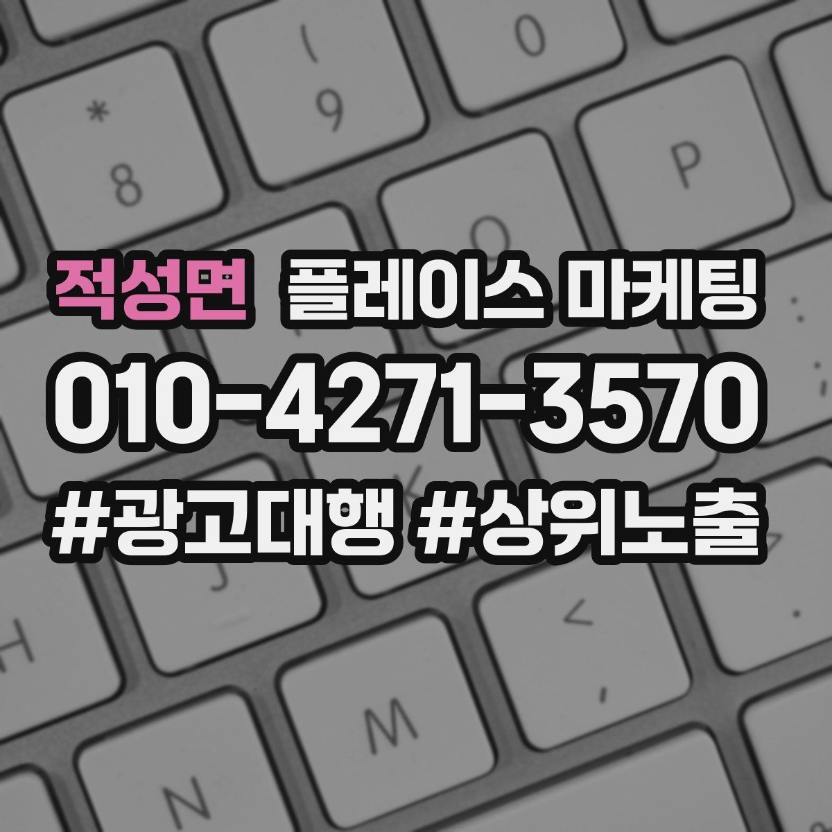 적성면 플레이스 마케팅
