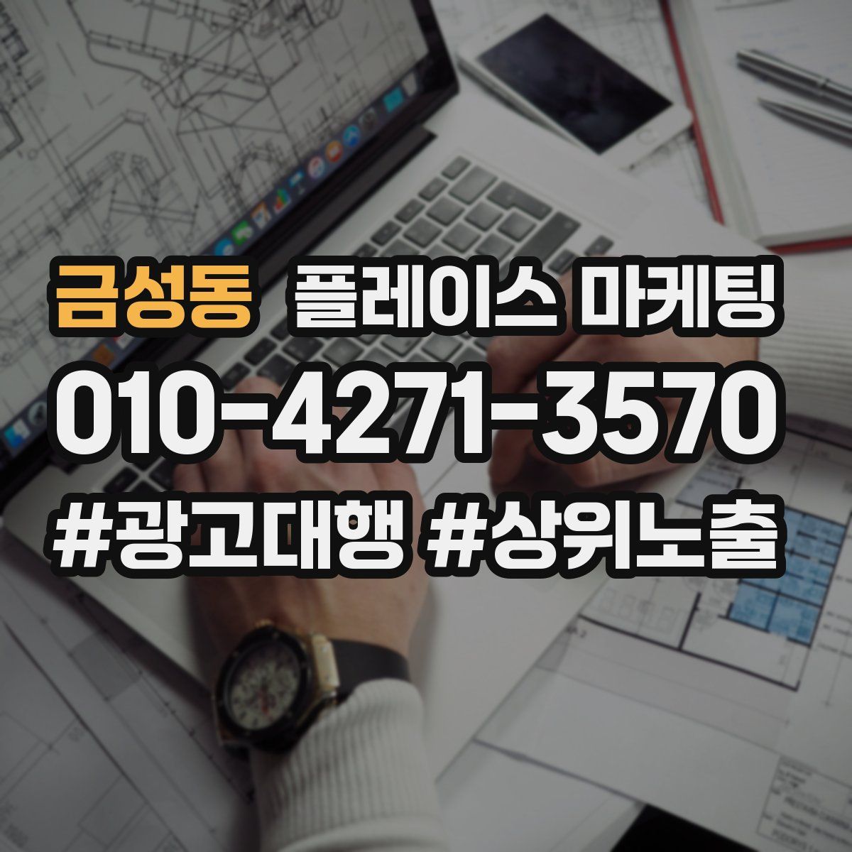 금성동 플레이스 마케팅