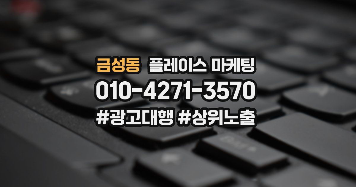 금성동 플레이스 마케팅