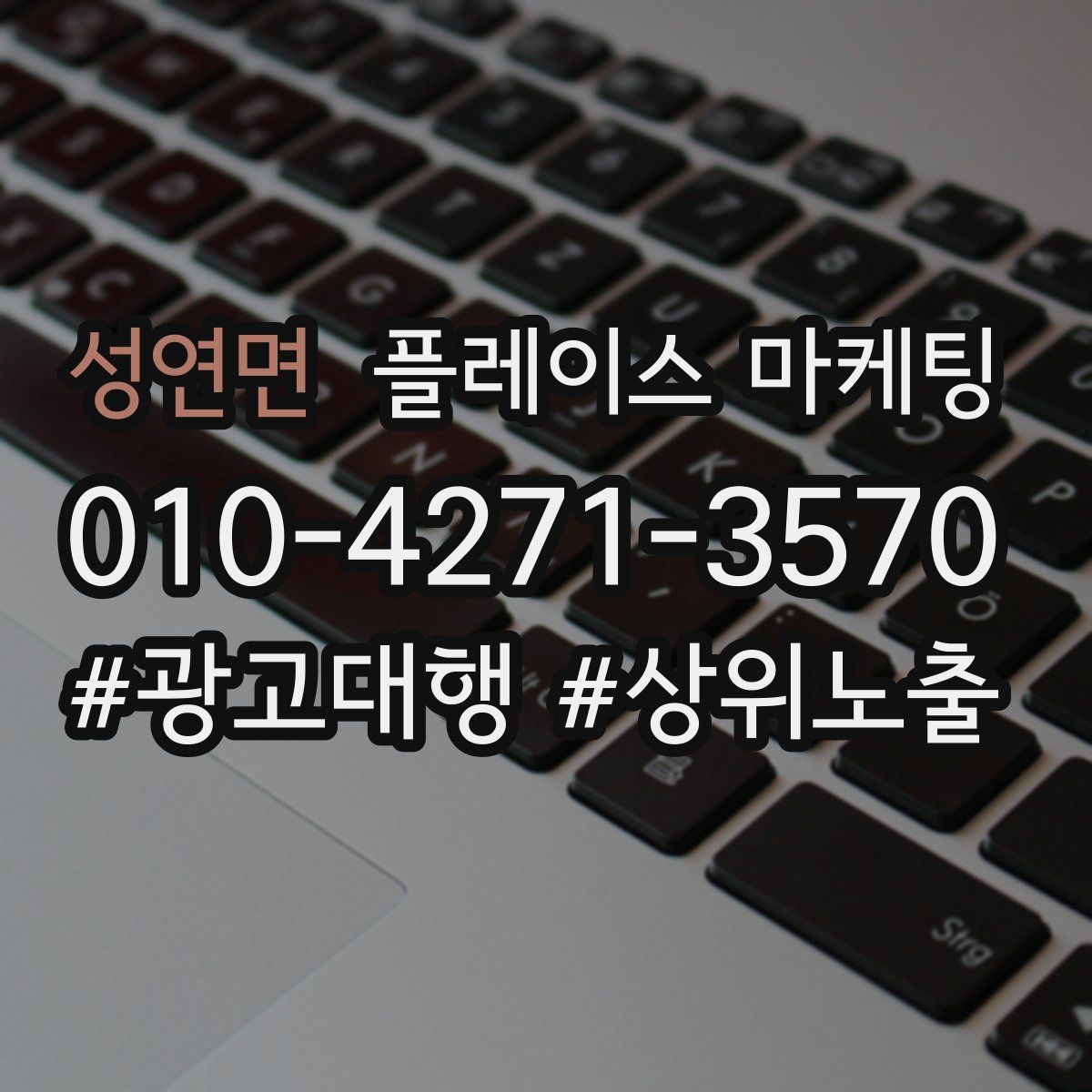 성연면 플레이스 마케팅