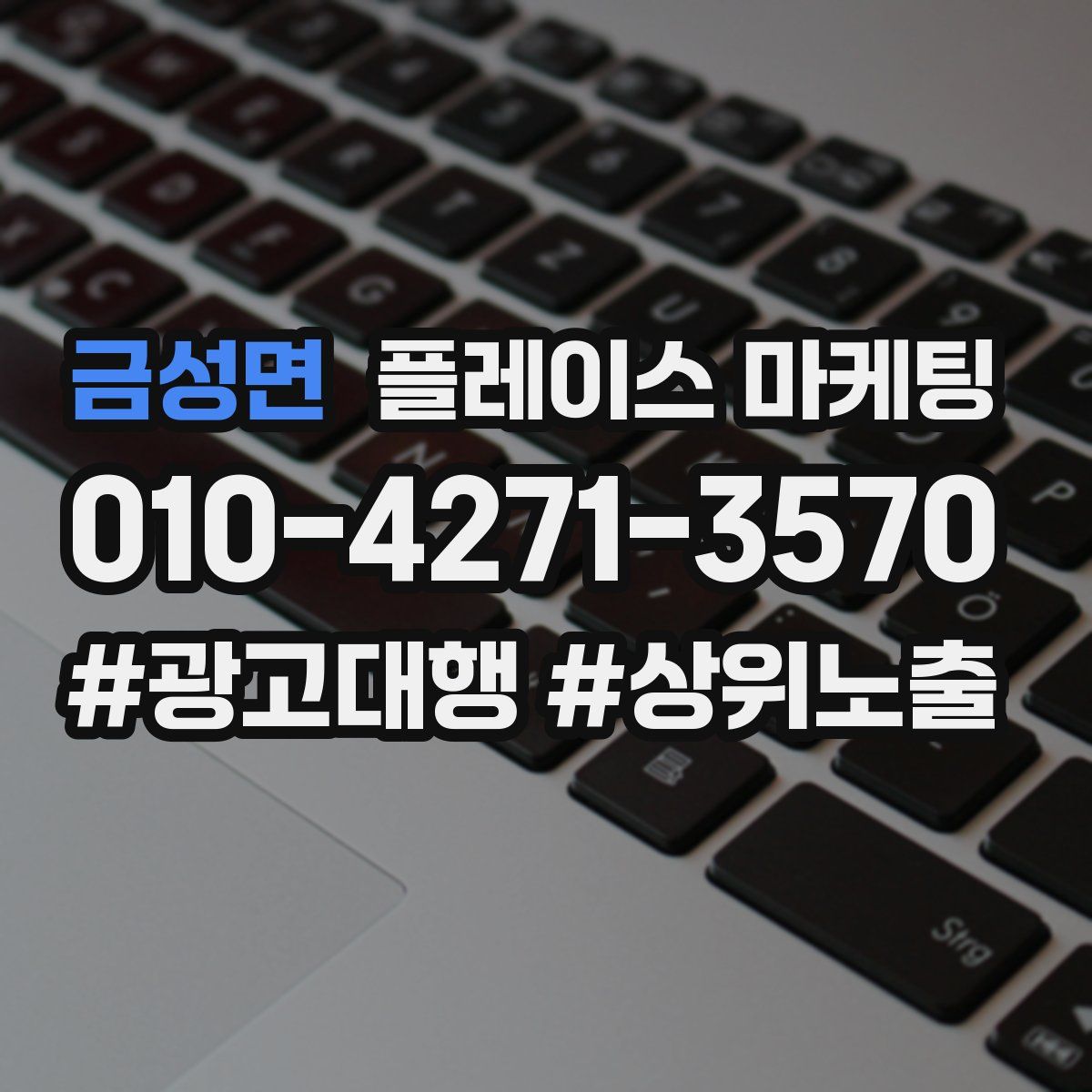 금성면 플레이스 마케팅