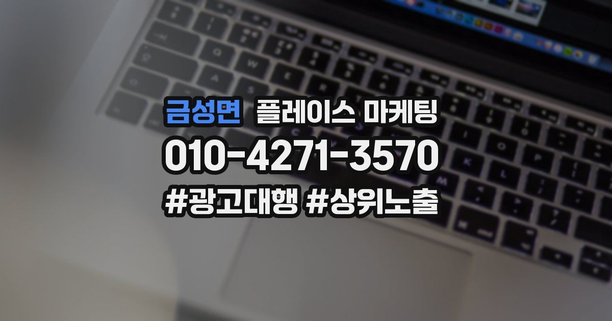 금성면 플레이스 마케팅
