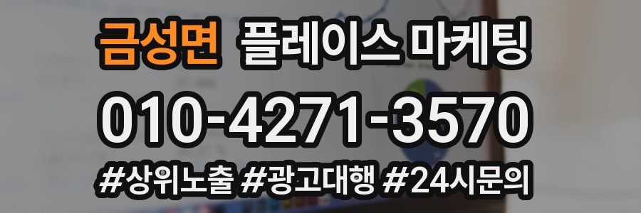 금성면 플레이스 마케팅