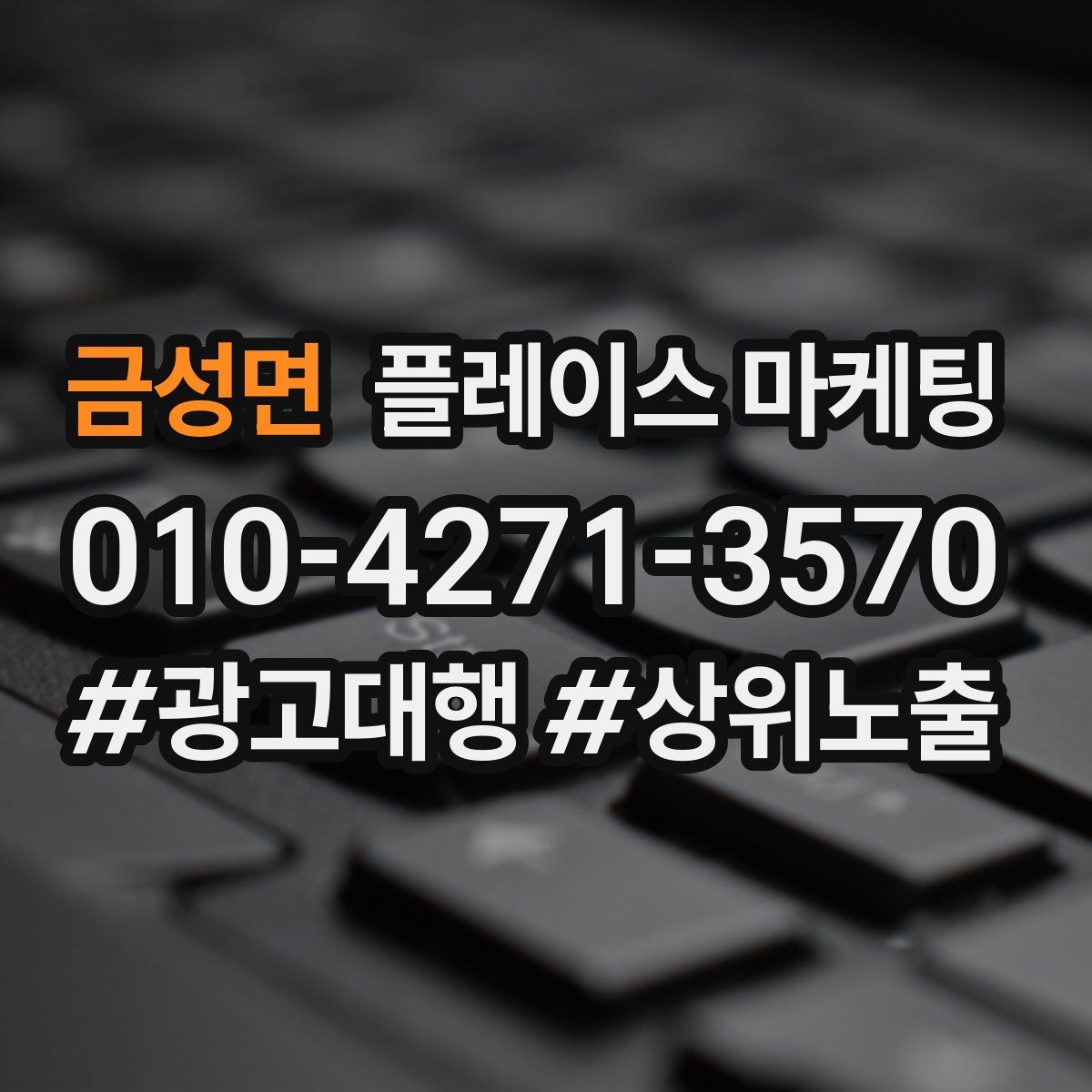 금성면 플레이스 마케팅