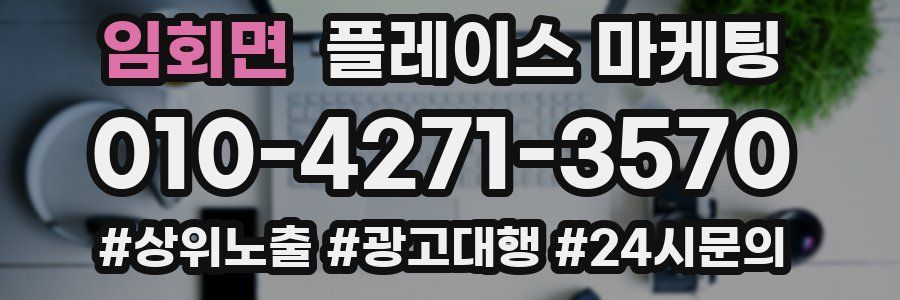 임회면 플레이스 마케팅