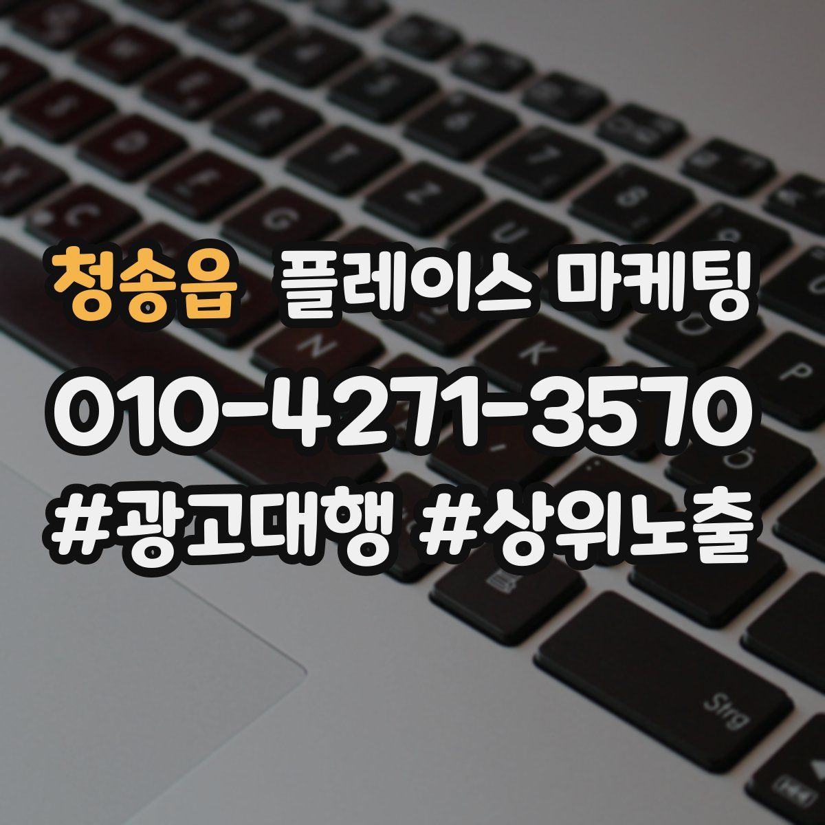 청송읍 플레이스 마케팅