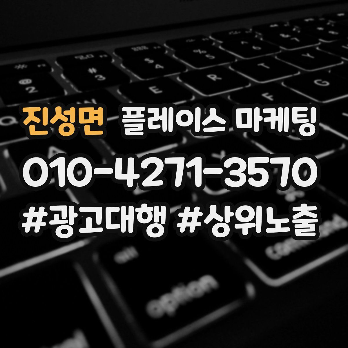 진성면 플레이스 마케팅