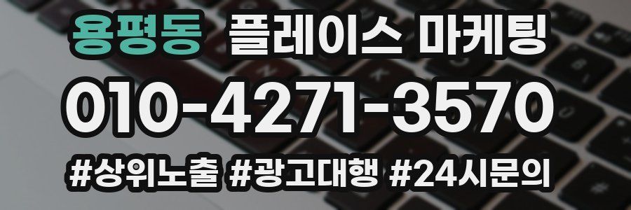 용평동 플레이스 마케팅