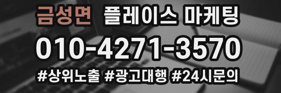 금성면 플레이스 마케팅