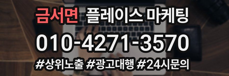 금서면 플레이스 마케팅