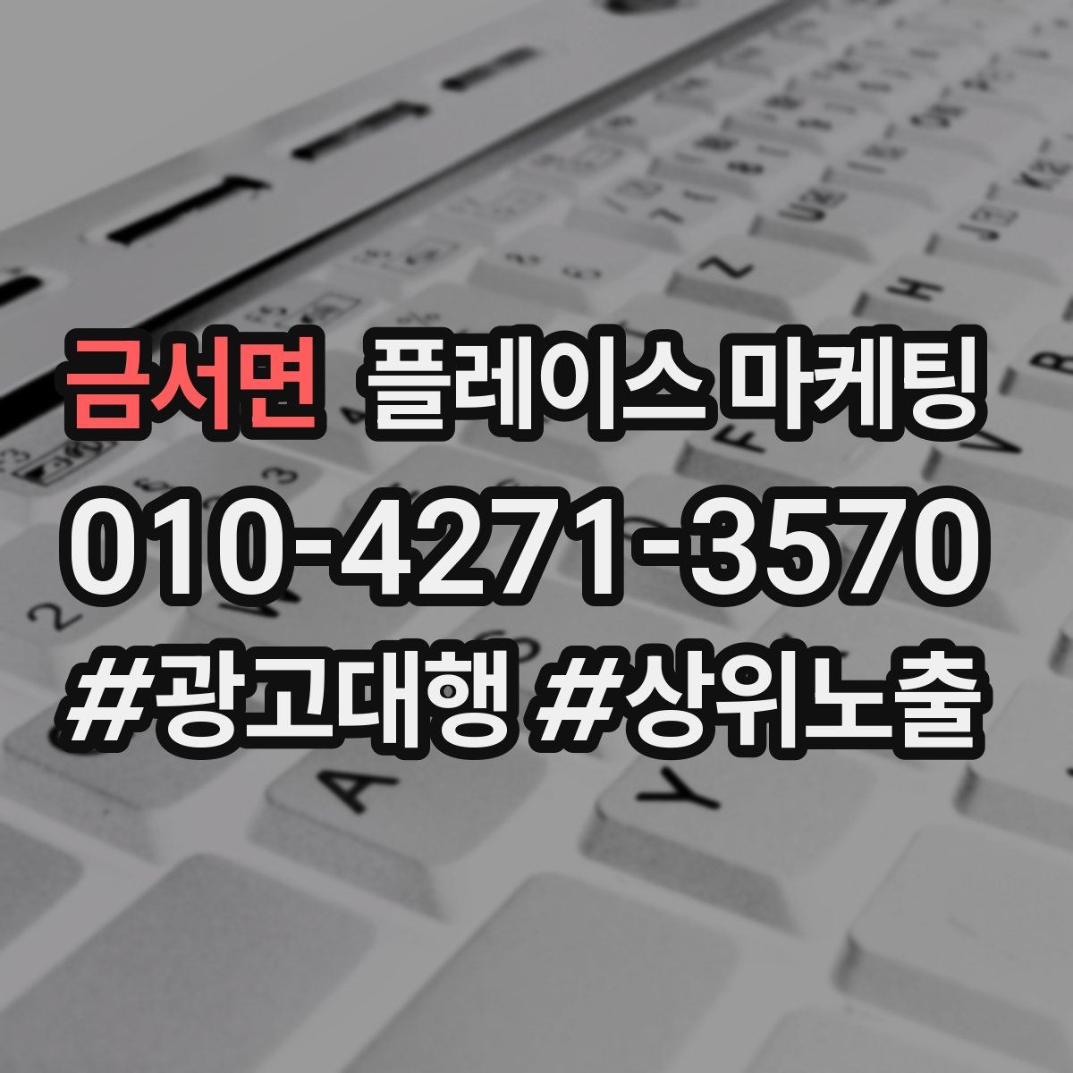 금서면 플레이스 마케팅