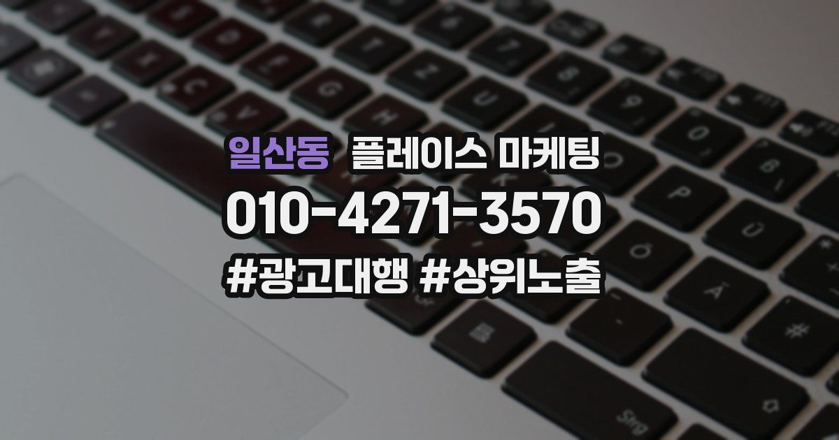 일산동 플레이스 마케팅