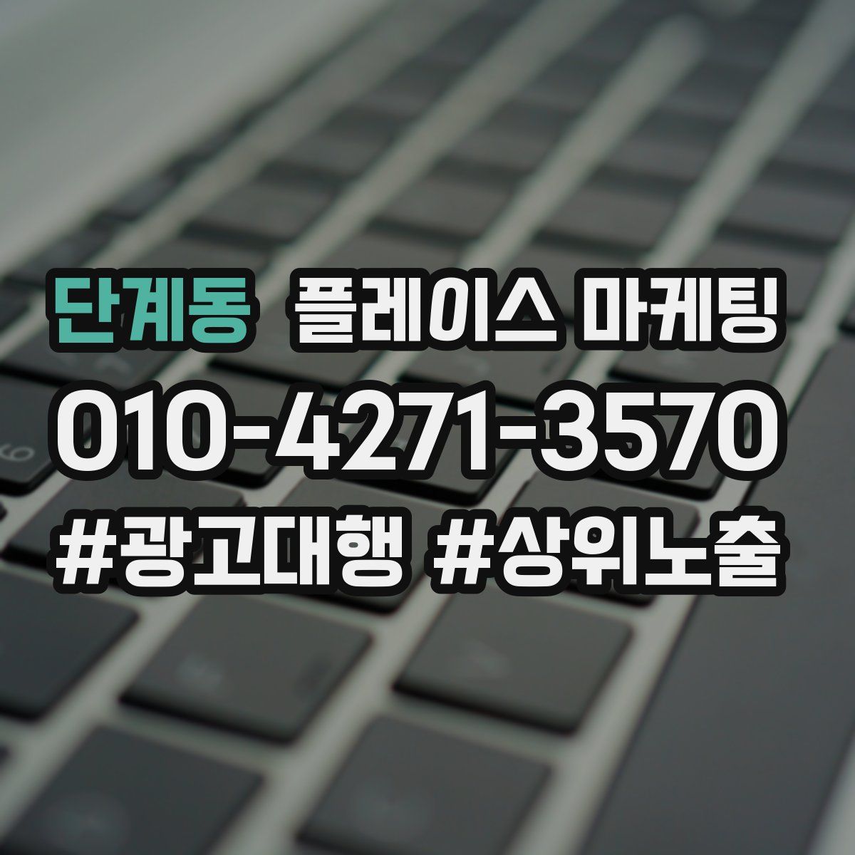 단계동 플레이스 마케팅