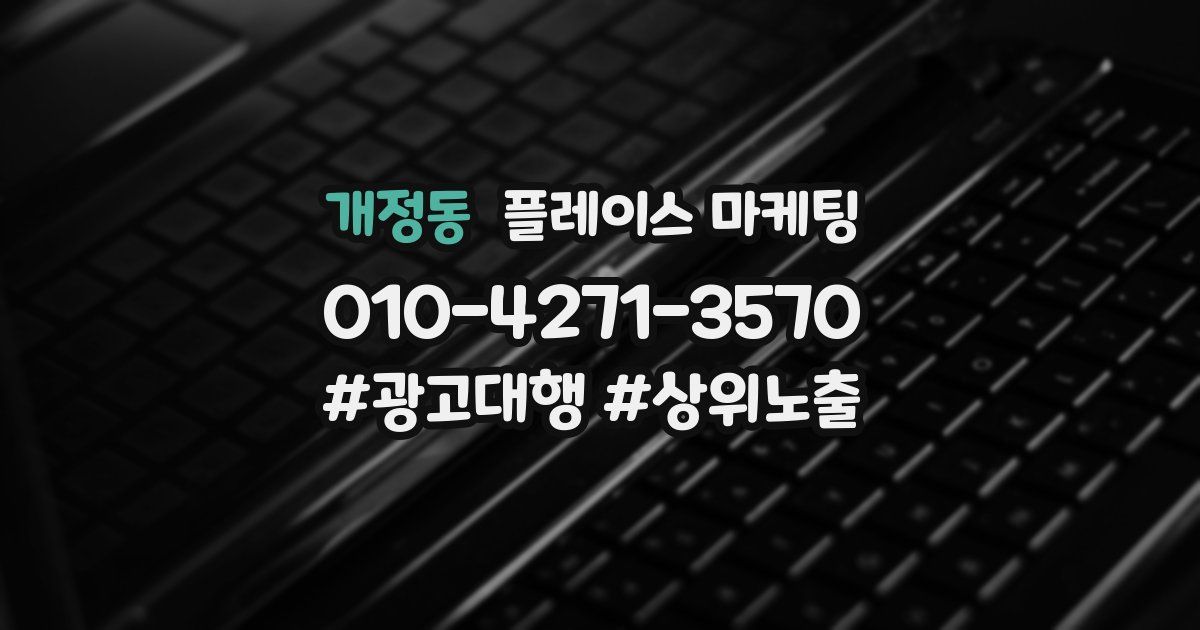 개정동 플레이스 마케팅