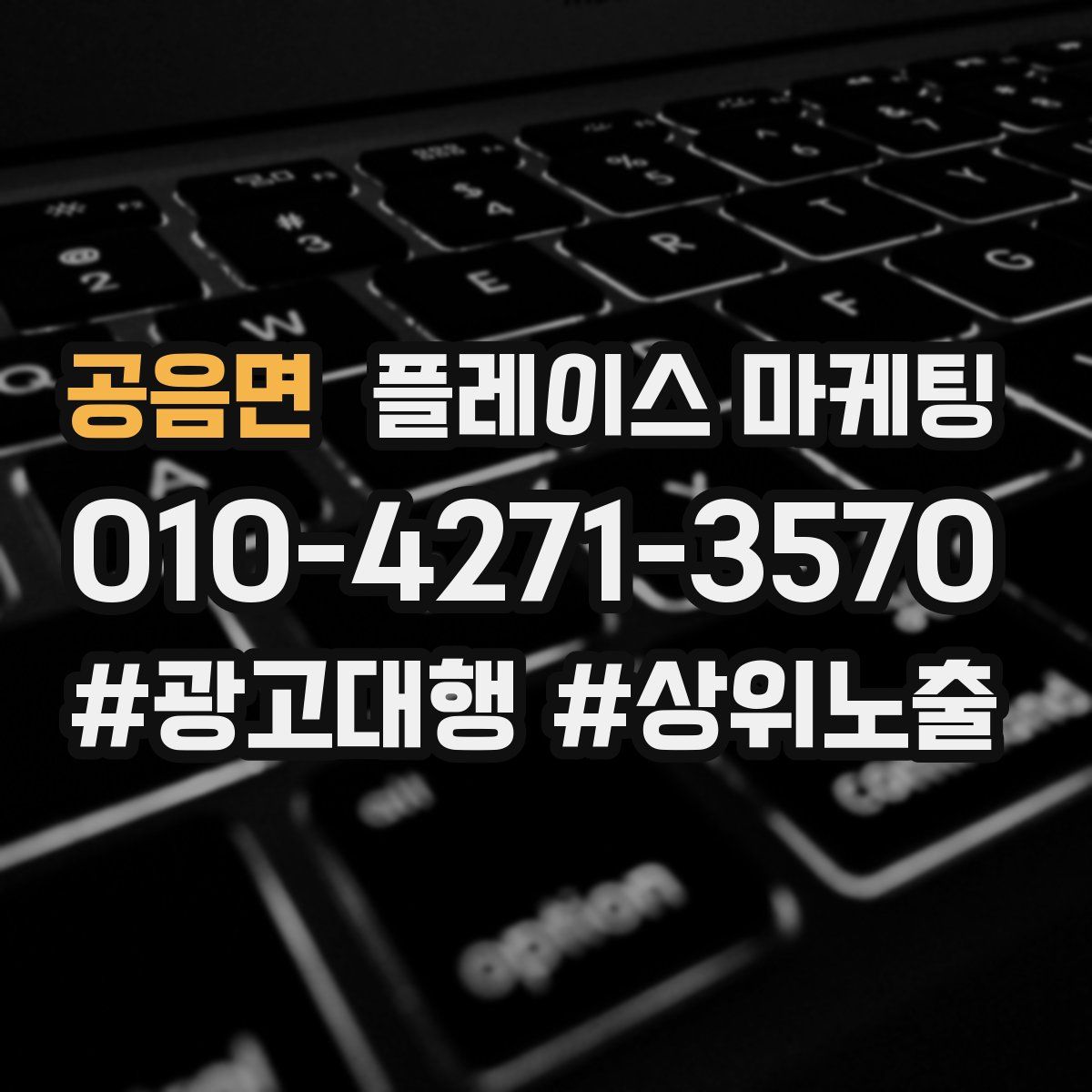 공음면 플레이스 마케팅