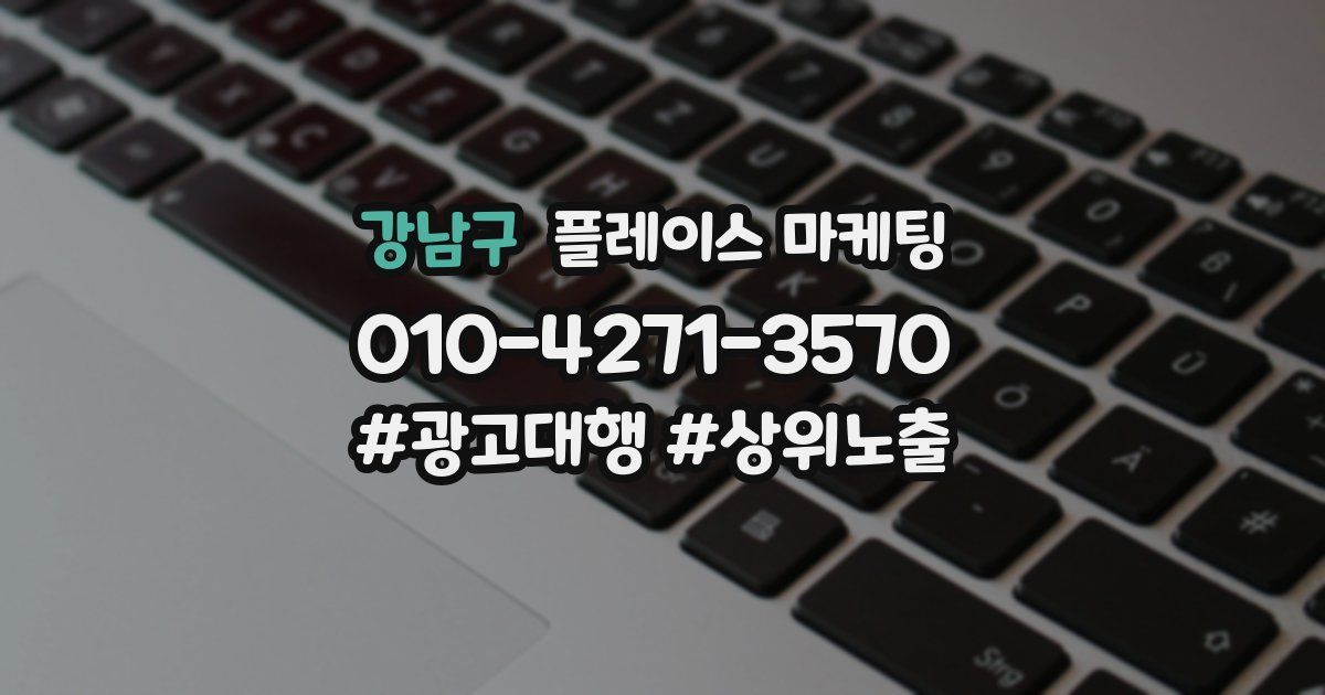 강남구 플레이스 마케팅