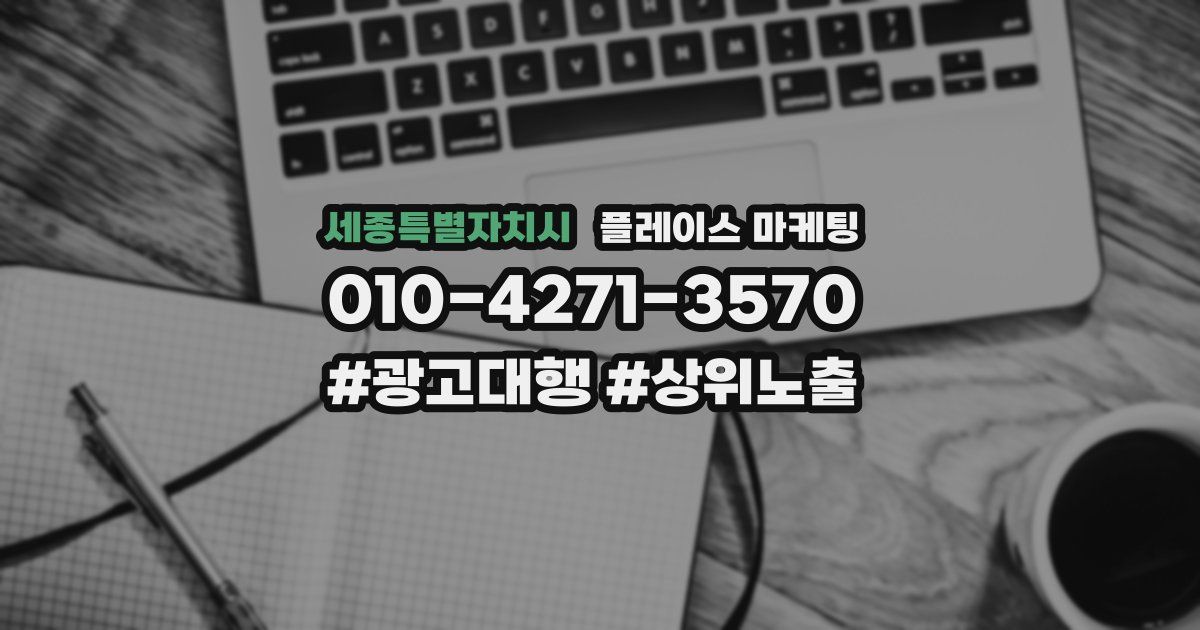세종특별자치시 플레이스 마케팅