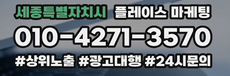세종특별자치시 플레이스 마케팅