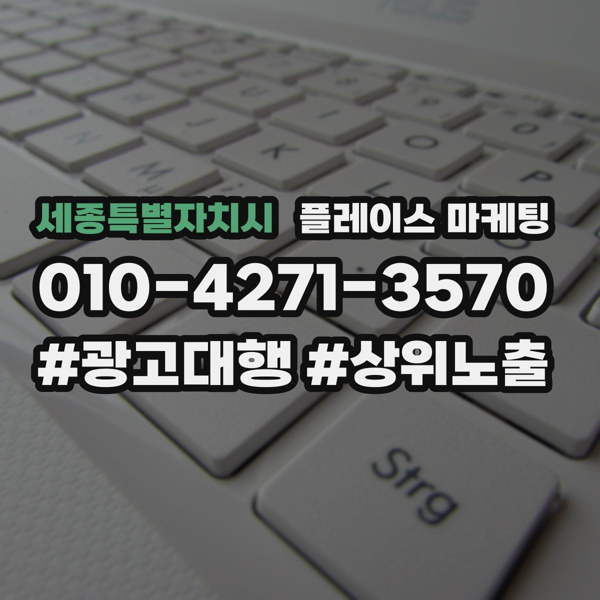 세종특별자치시 플레이스 마케팅
